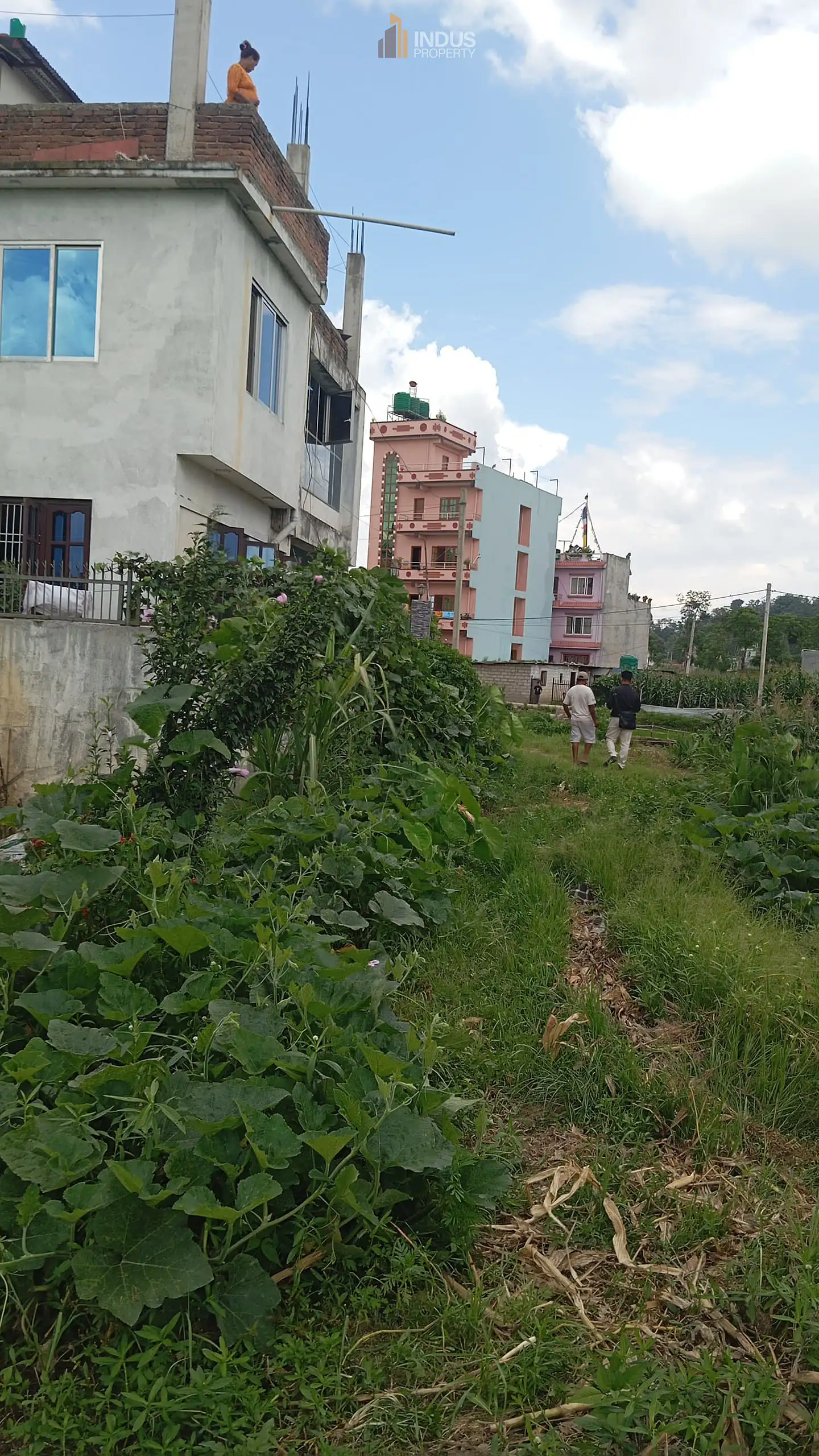 Land on sale at Nil Barahi, Bhaktapur Image 3