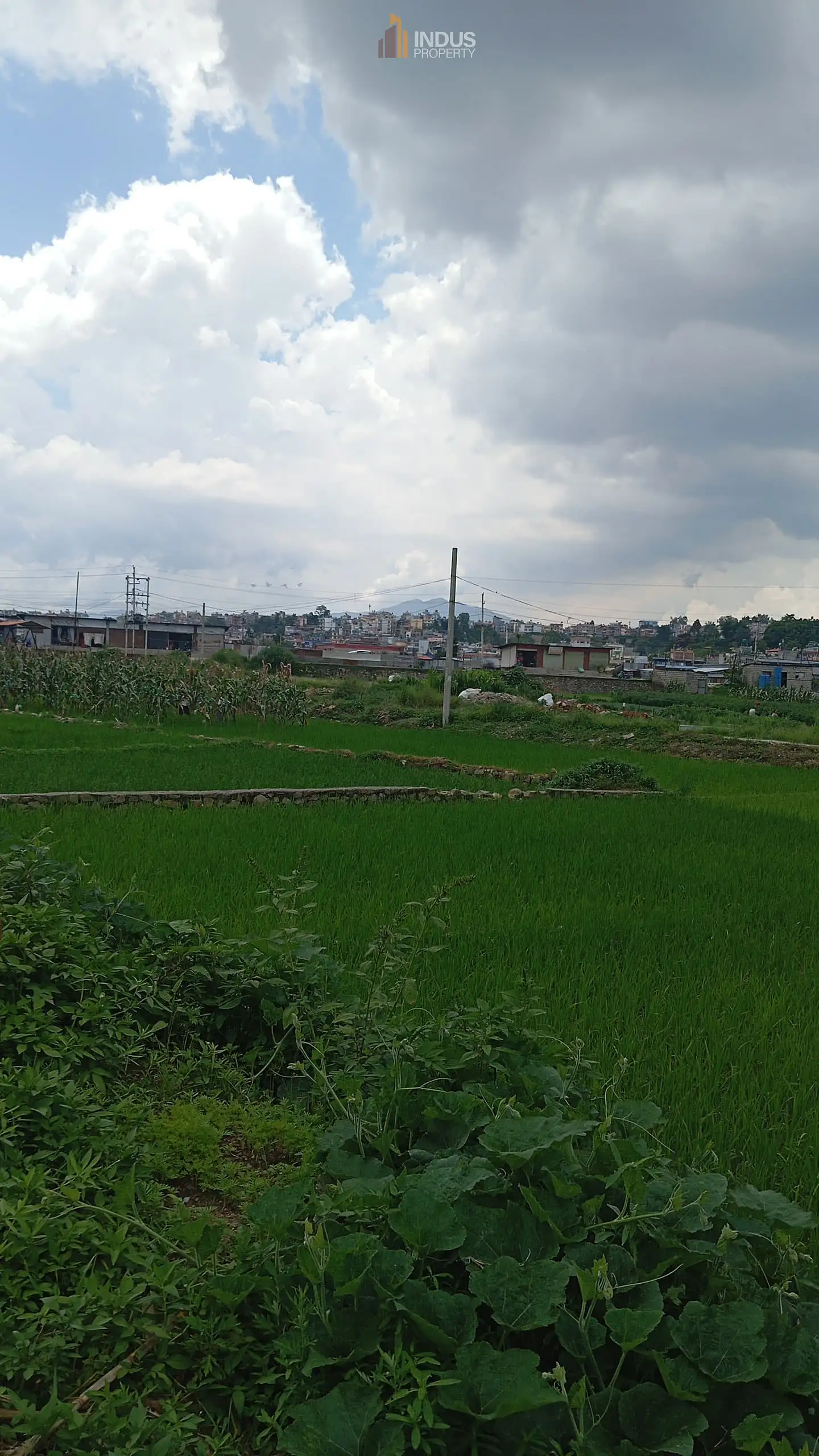 Land on sale at Nil Barahi, Bhaktapur Image 4