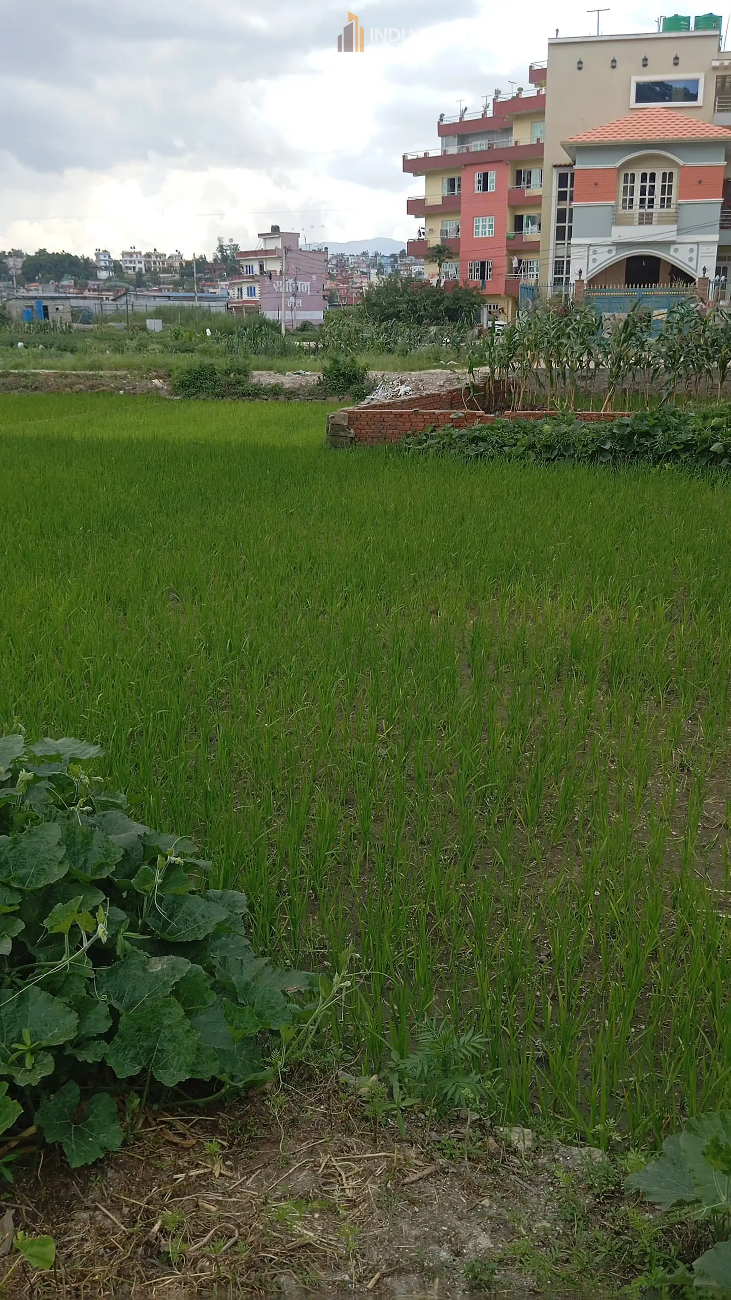 Land on sale at Nil Barahi, Bhaktapur Image 2