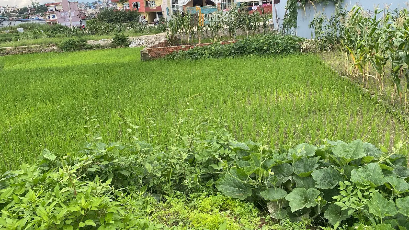 Land on sale at Nil Barahi, Bhaktapur Image 1