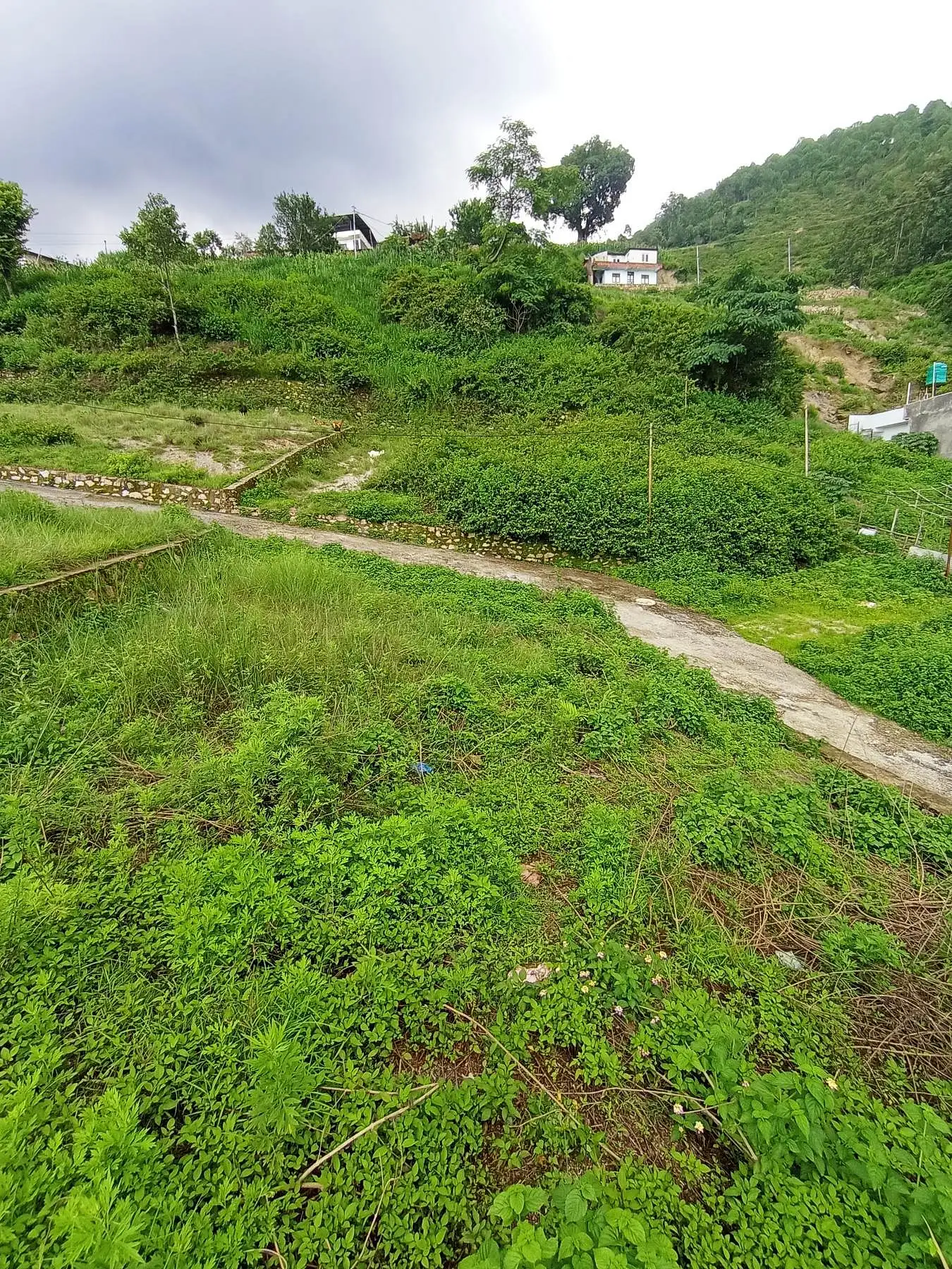 land on sale at budhanilkantha height  Image 2
