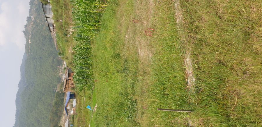 Land on Sale Image 3