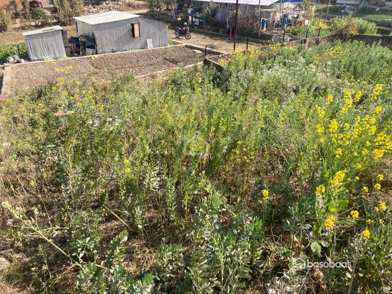 Land On Sale- Lubhu : Land for Sale in Lubhu, Lalitpur Image 4