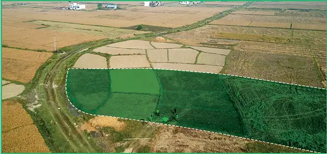 Land for sale: Bhairahawa, Rupandehi Thumbnail
