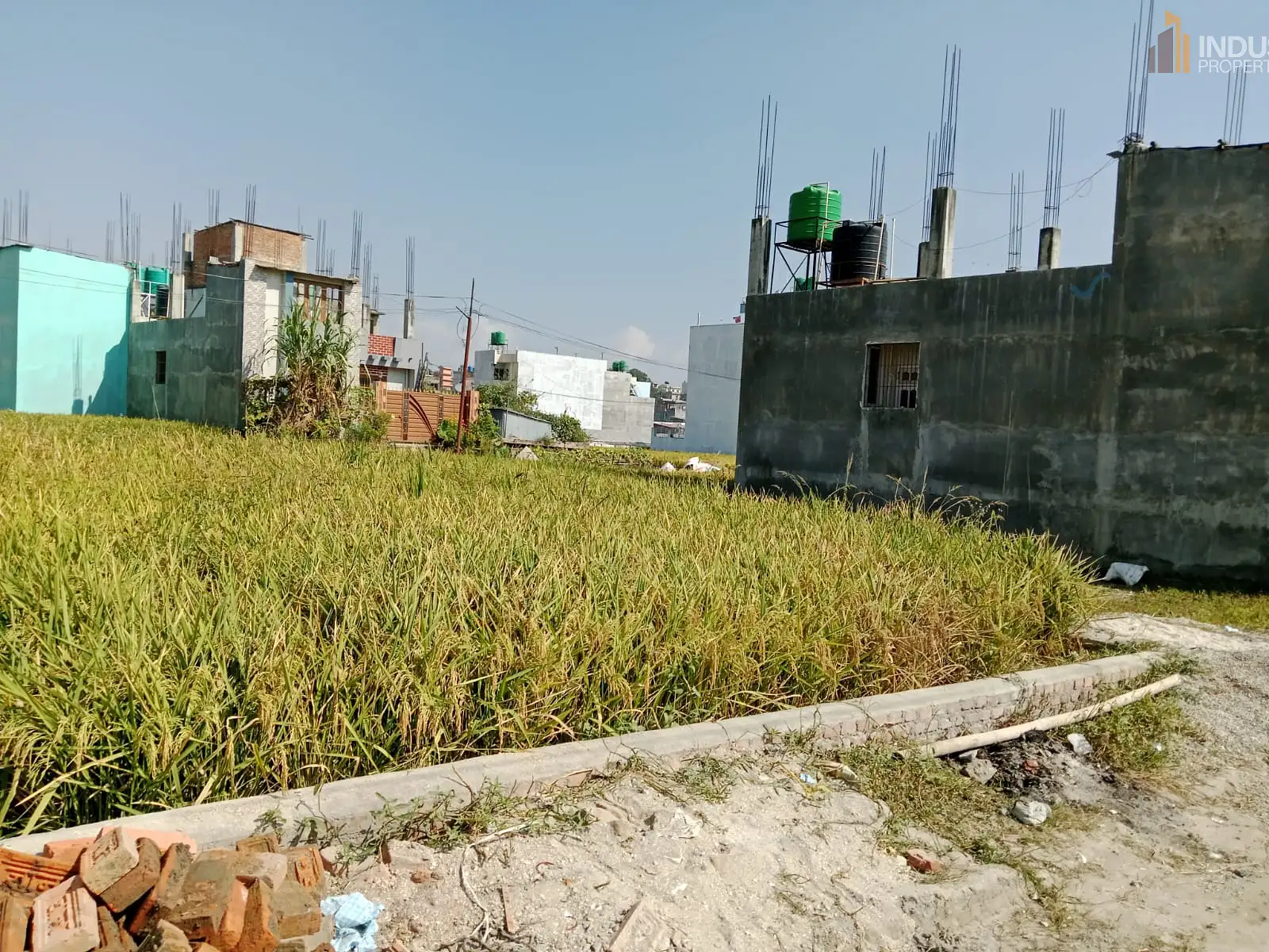 Land on Sale Image 2