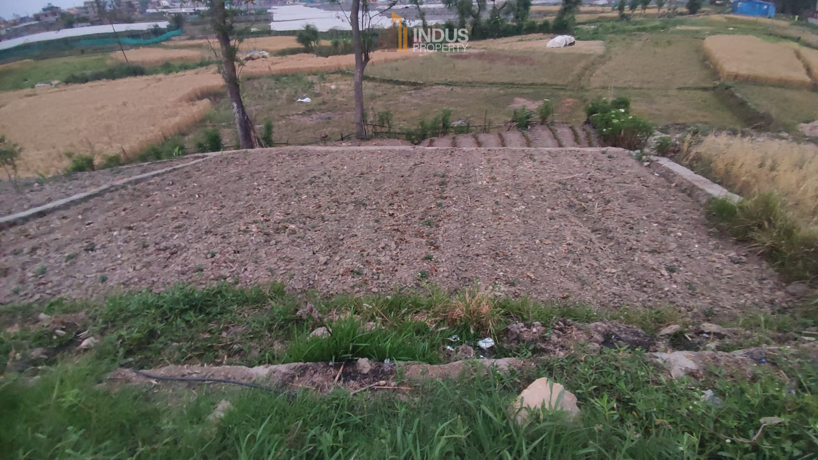Land on sale at Lubhu, lalitpur Image 1