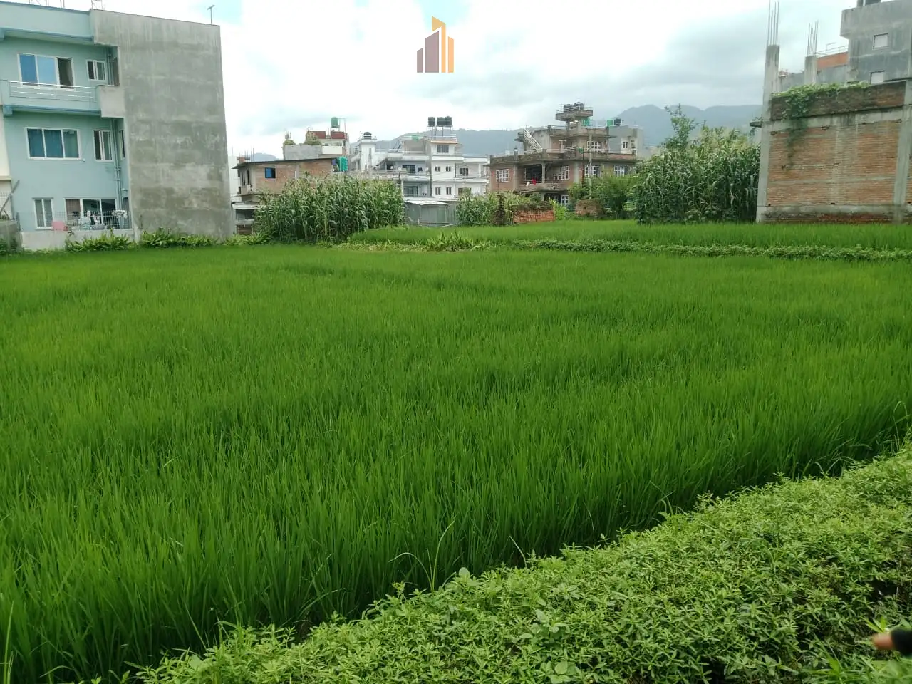 Land on sale at Sanagau, Lalitpur Image 3