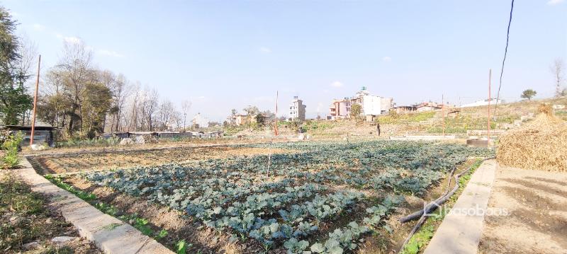 Bhaktapur jagati Nakhel planning : Land for Sale in Jagati, Bhaktapur Image 4