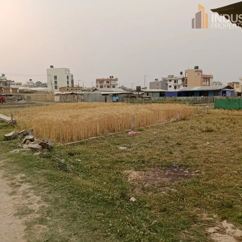 Land on sale-Harisiddhi, Lalitpur Image 2