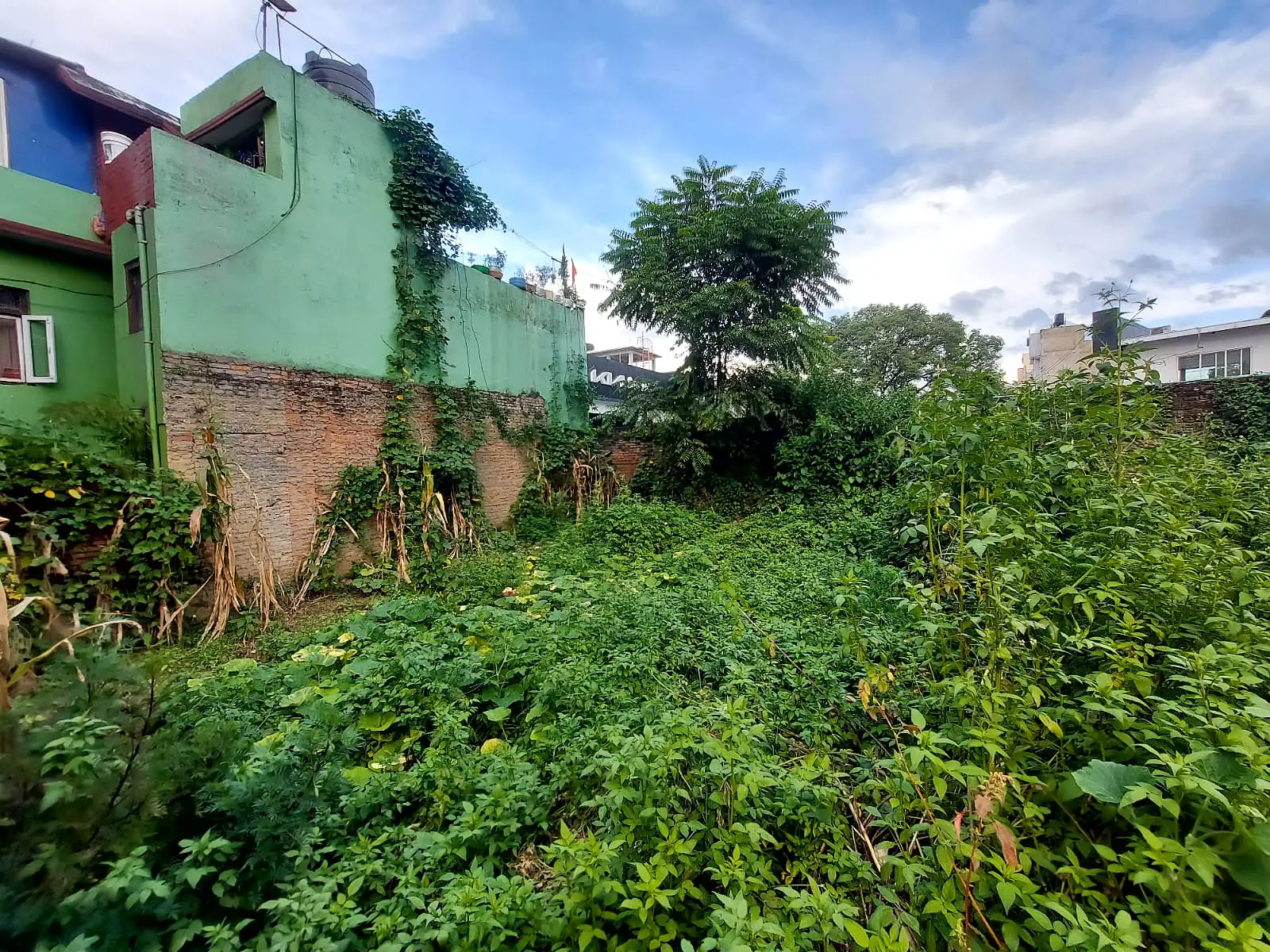 Residential Land On Sale Image 2