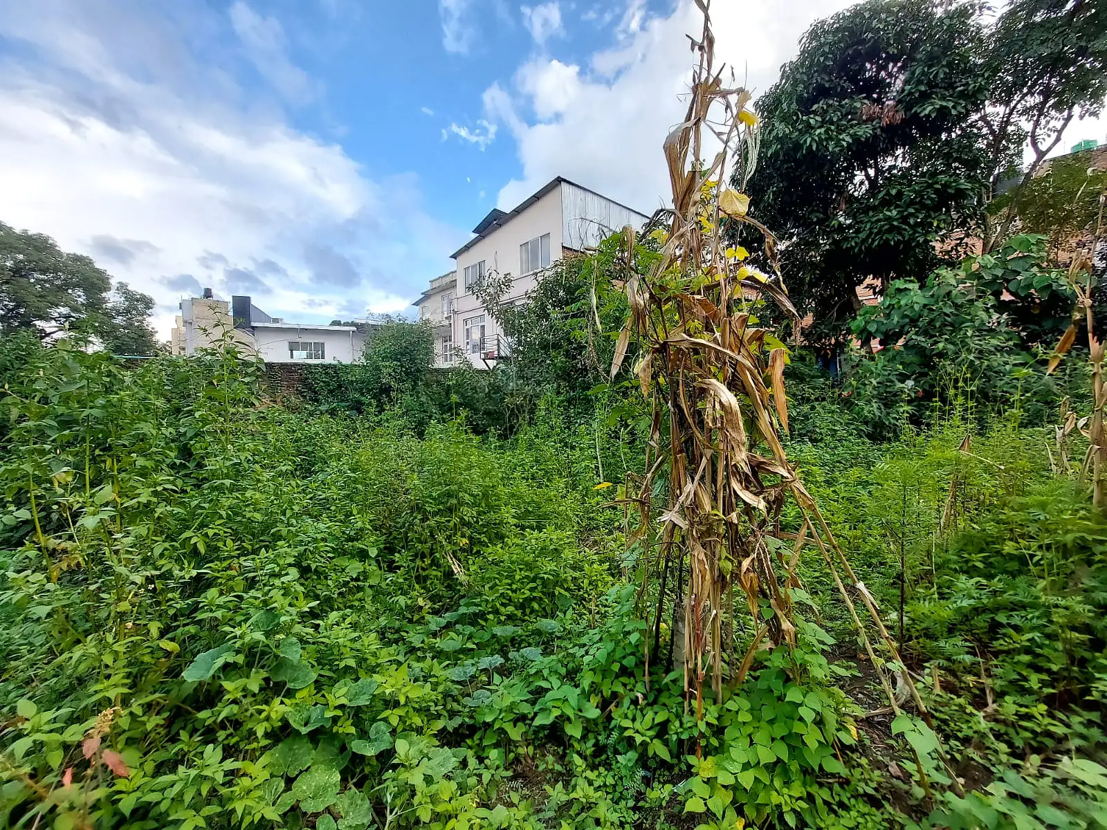 Residential Land On Sale Image 3