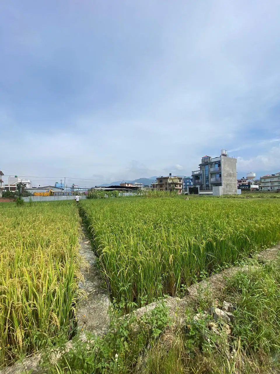 Land on Sale Image 2