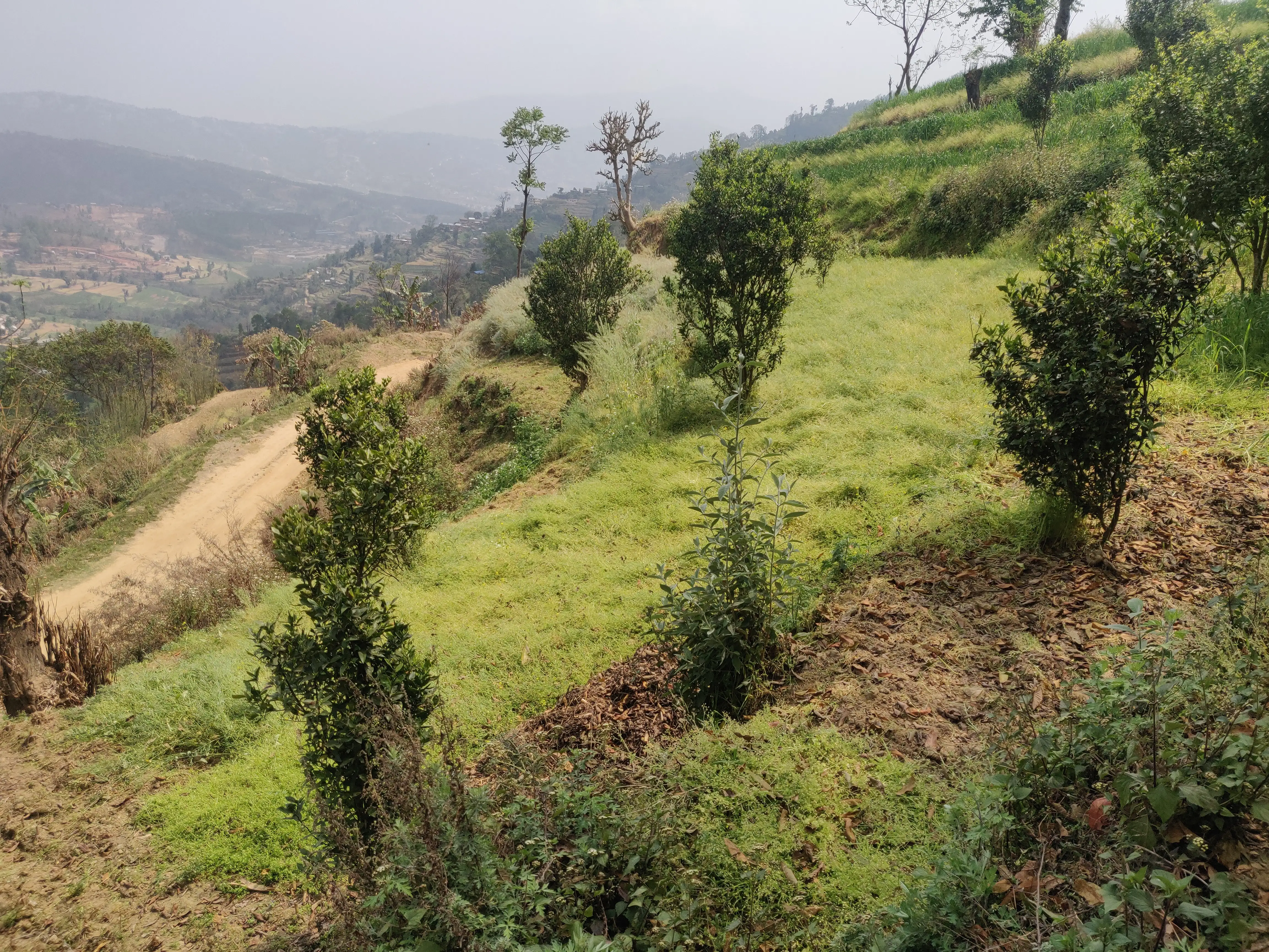 60 Ropani Land for rent in NamoBuddha Image 4