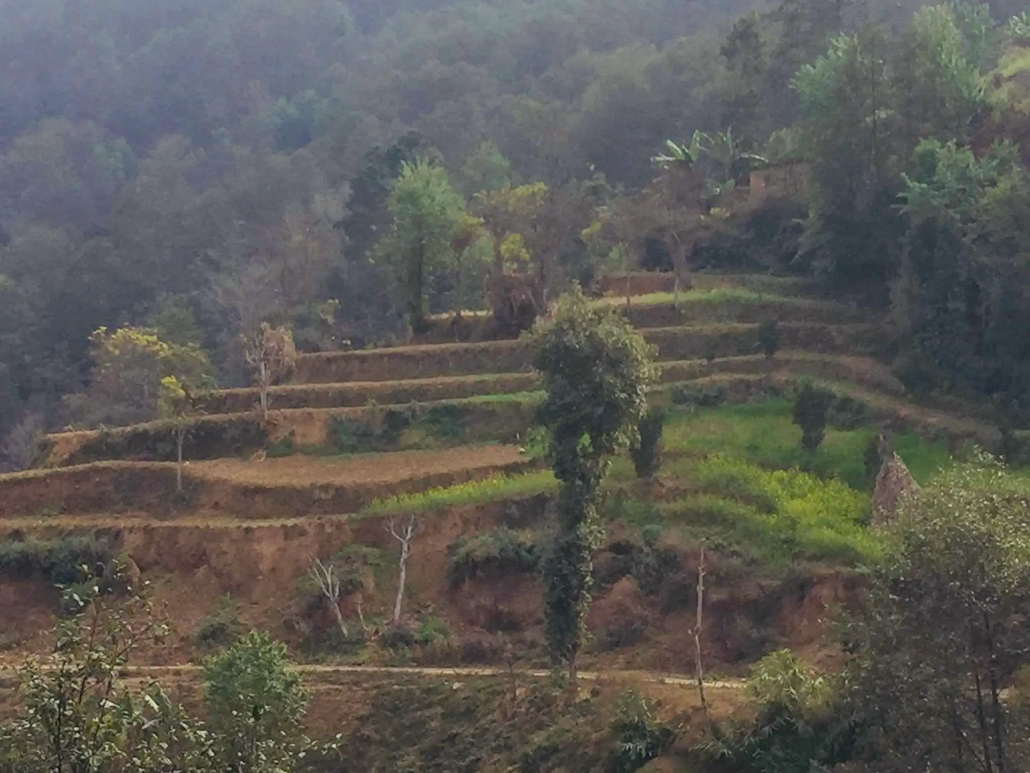 60 Ropani Land for rent in NamoBuddha Image 2