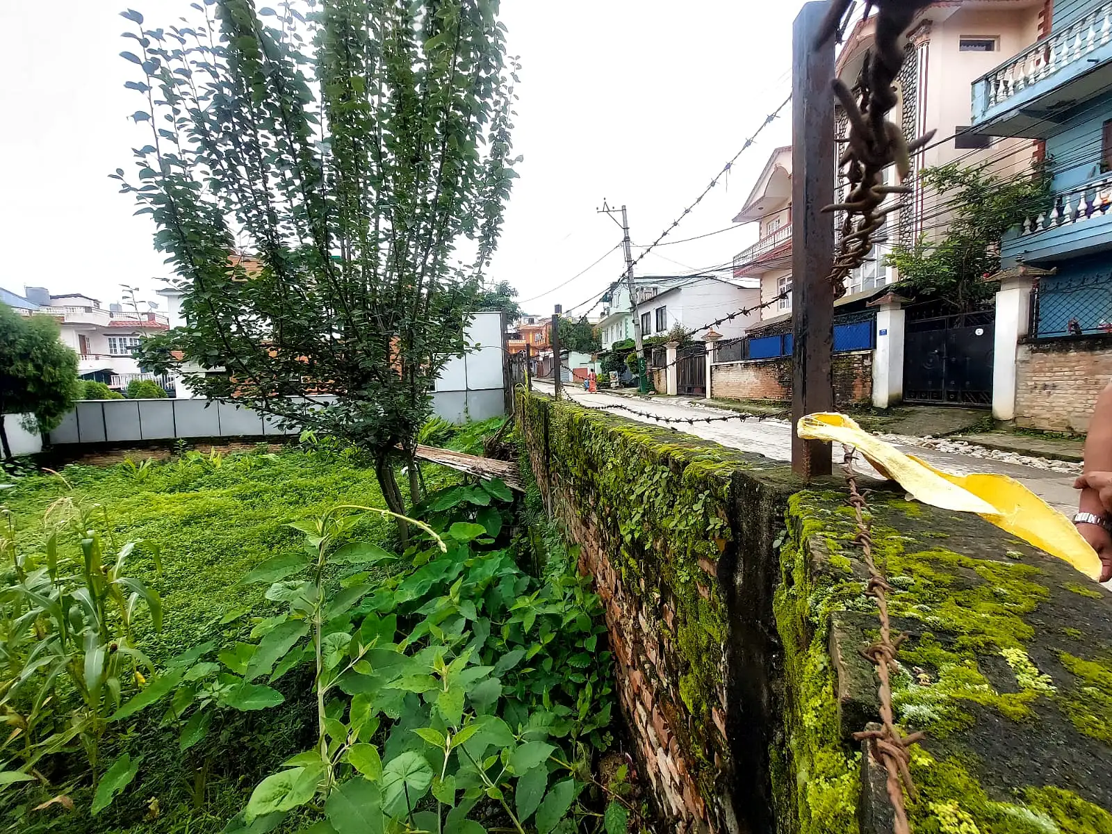 Residential Land On Sale Image 6