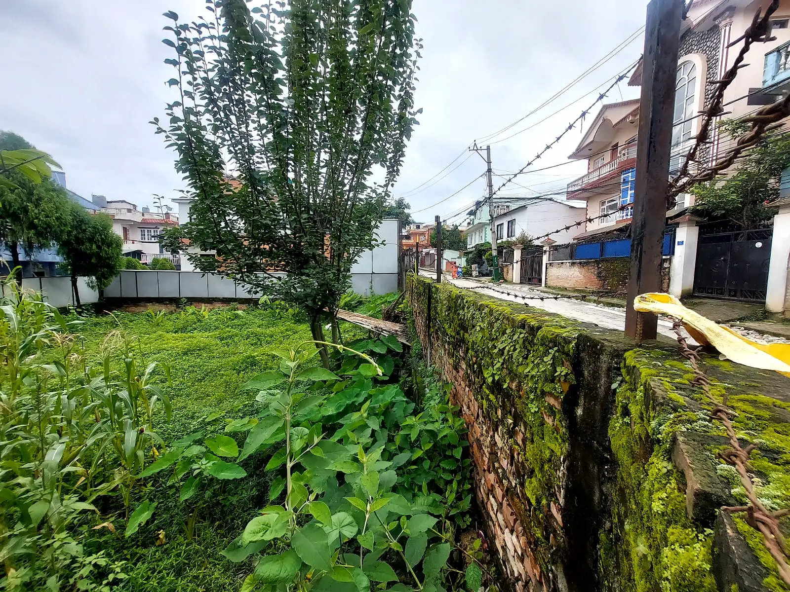 Residential Land On Sale Image 7