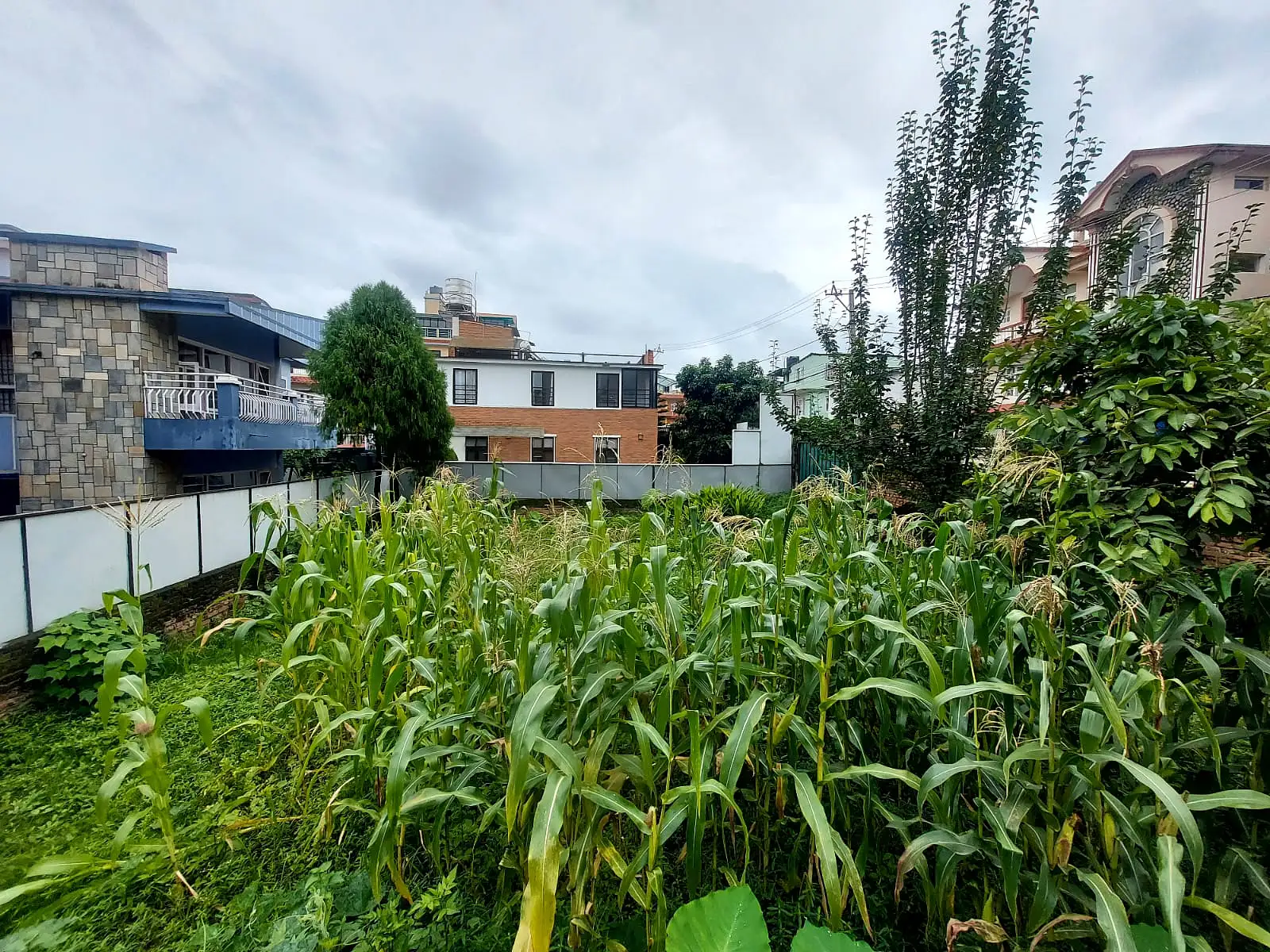 Residential Land On Sale Image 1