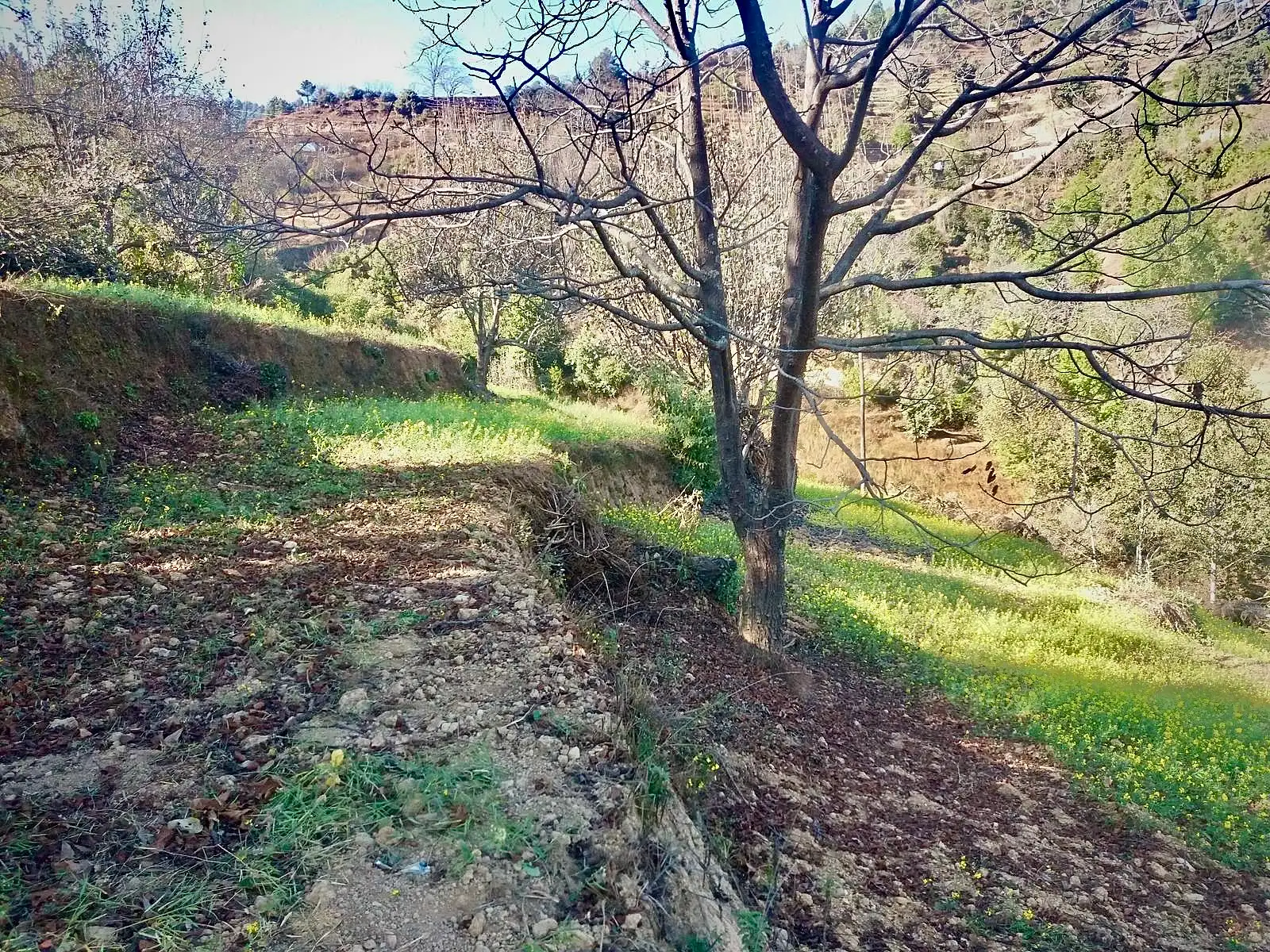 Land Sale At Dakshinkali  Image 3