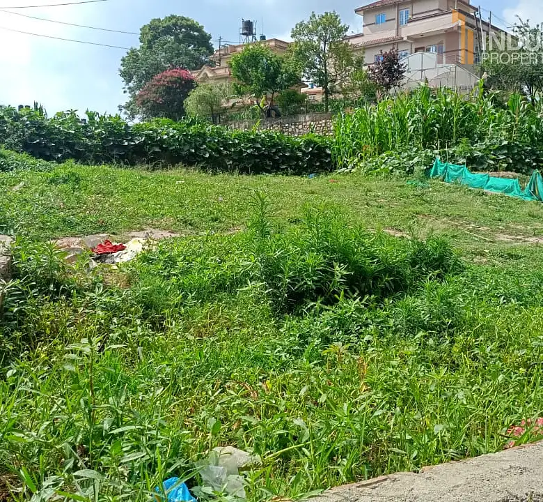 land on sale Image 3