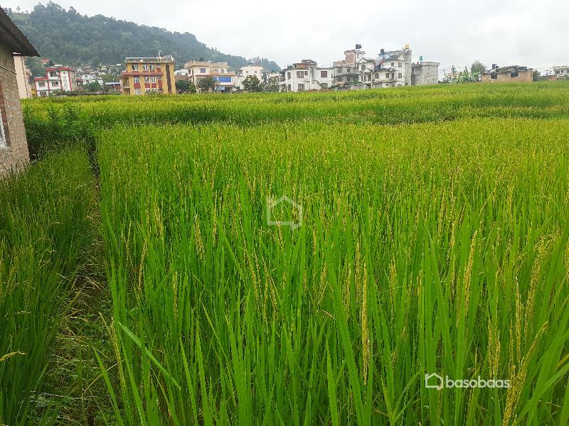 Residential Land : Land for Sale in Lubhu, Lalitpur Image 2