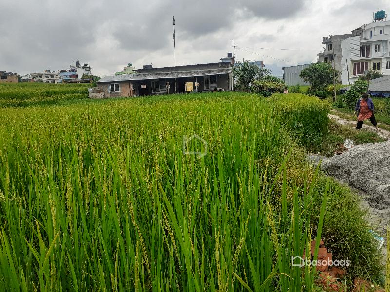 Residential Land : Land for Sale in Lubhu, Lalitpur Image 4