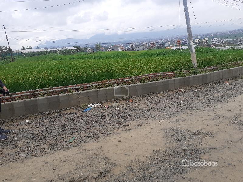 Residential Land : Land for Sale in Lubhu, Lalitpur Image 9