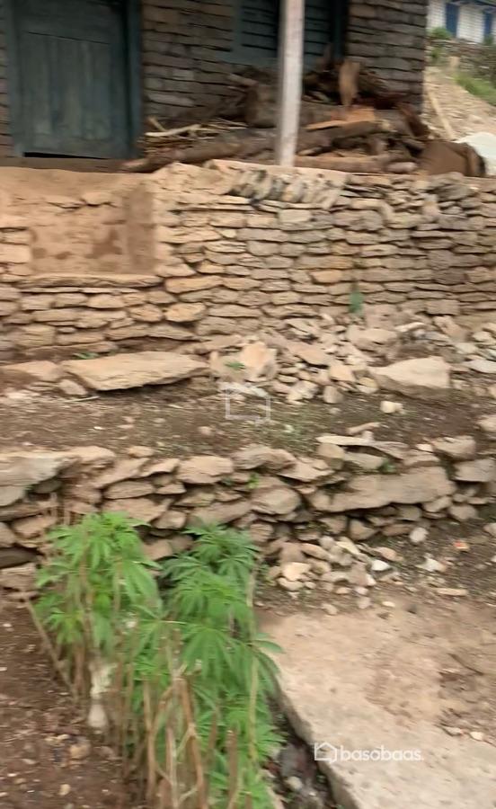 Land for Sale in Sarankot, Pokhara Image 2