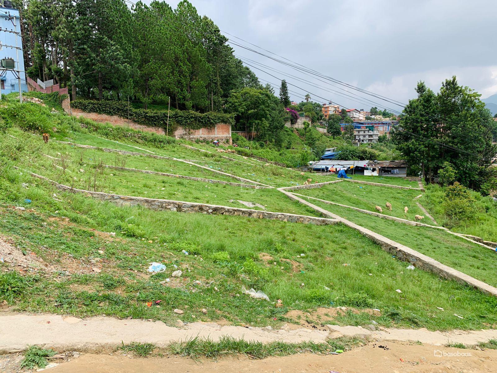 Residental Land : Land for Sale in Bhaisepati, Lalitpur Image 4