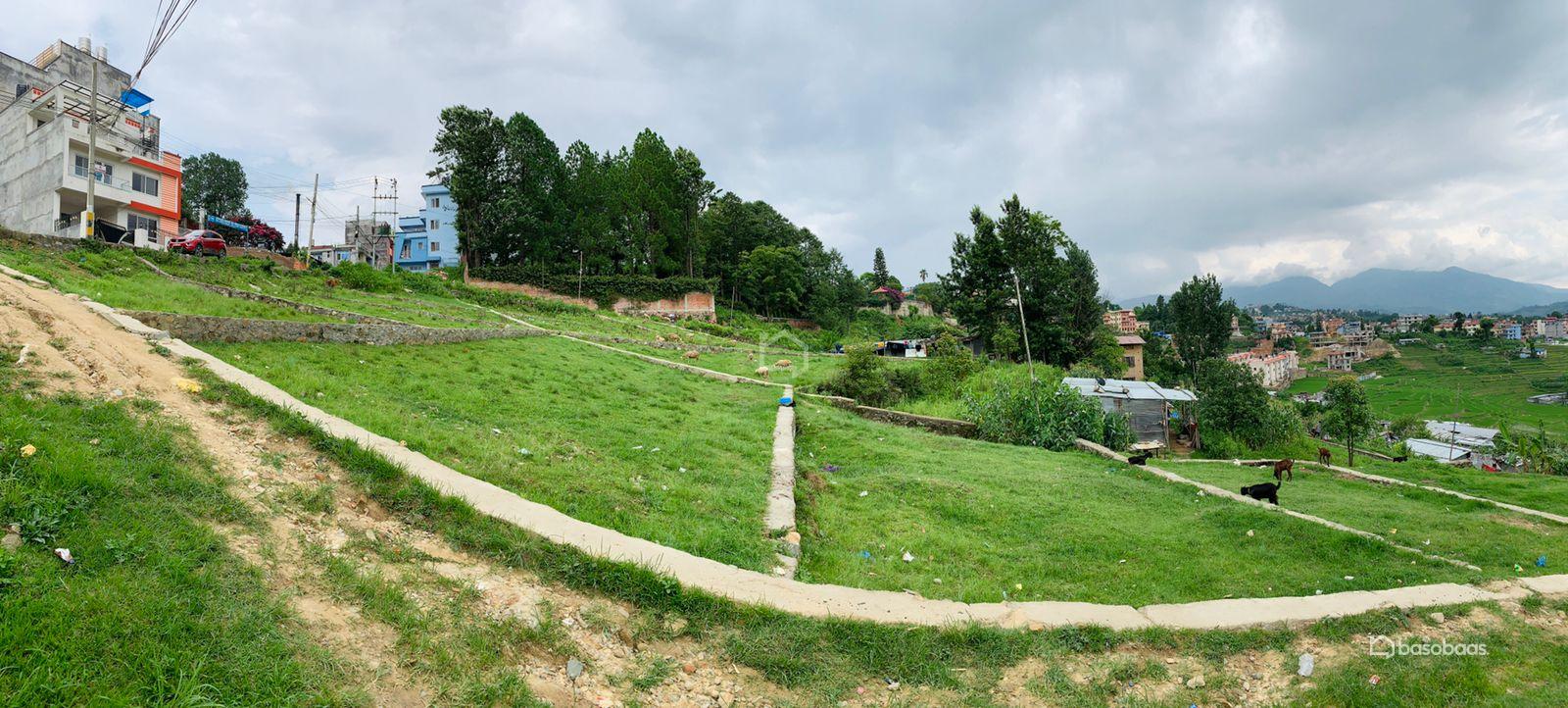 Residental Land : Land for Sale in Bhaisepati, Lalitpur Image 3