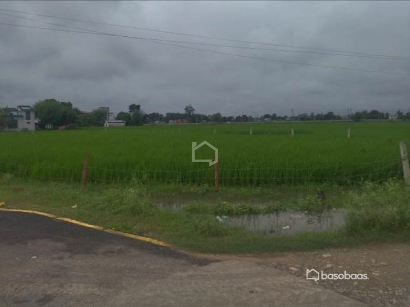 धनगढी गेटामा २ कठ्ठा आवसिय जग्गा सस्तो बिक्रिमा : Land for Sale in Dhangadhi, Kailali Thumbnail