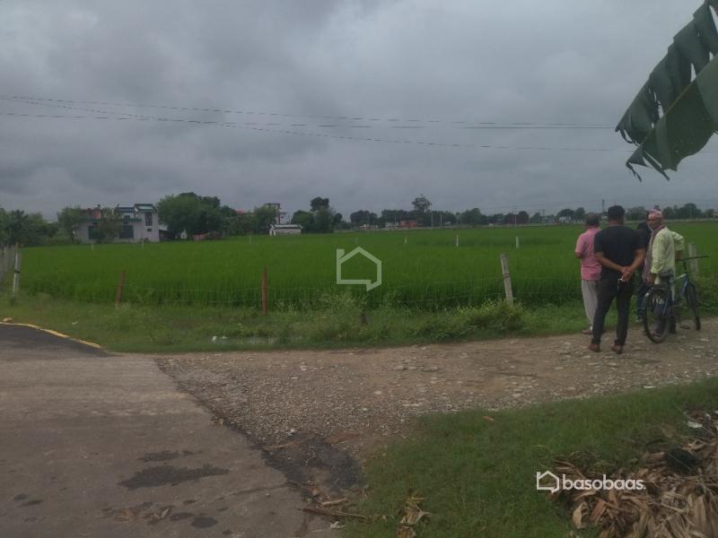 धनगढी गेटामा २ कठ्ठा आवसिय जग्गा सस्तो बिक्रिमा : Land for Sale in Dhangadhi, Kailali Image 5