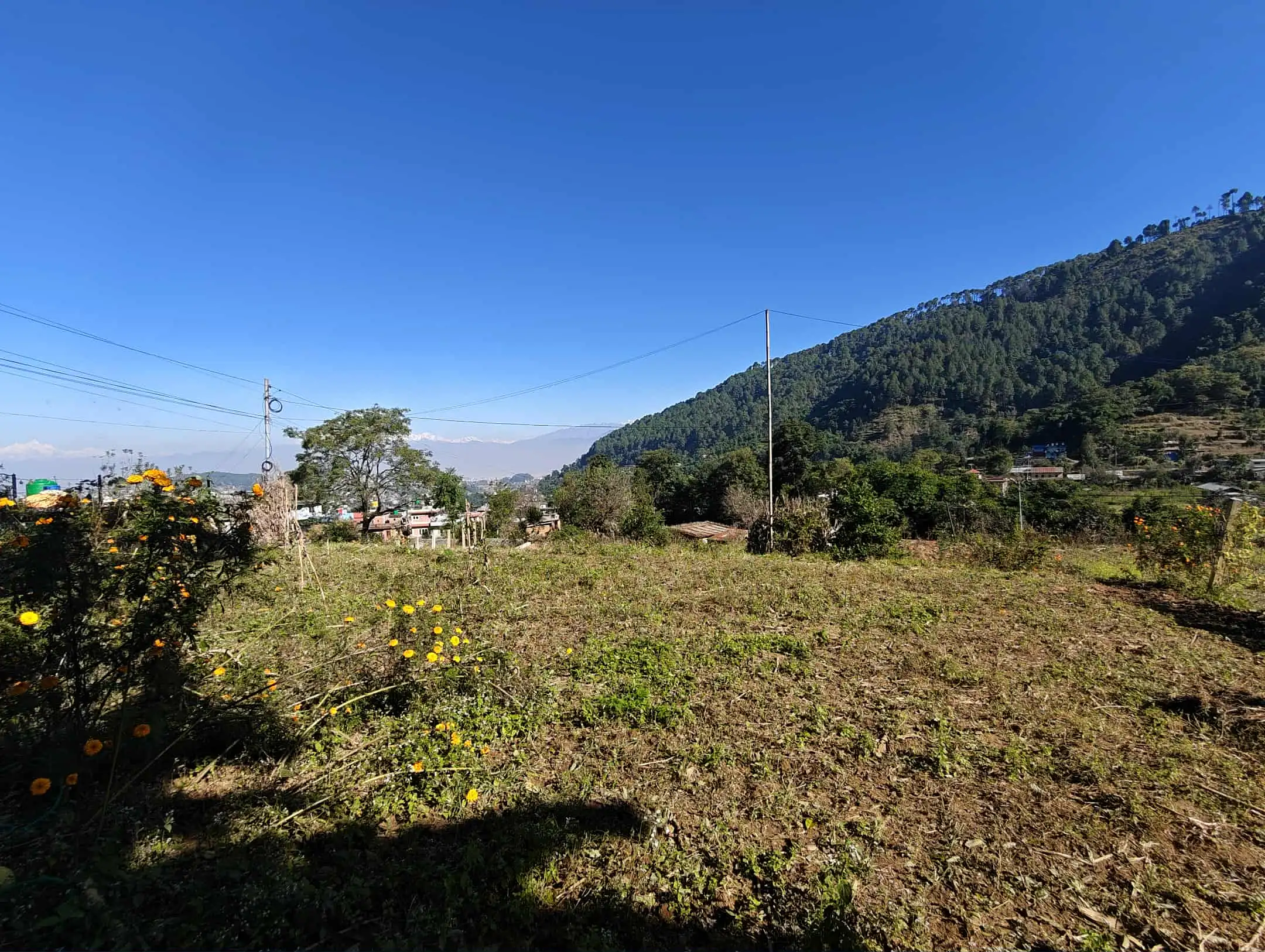 Land for Sale in Badikhel - Image 2