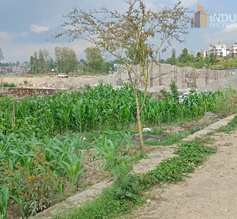 land on sale Image 3