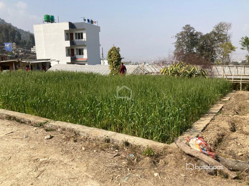 Land On Sale- Lamatar : Land for Sale in Lamatar, Lalitpur Thumbnail