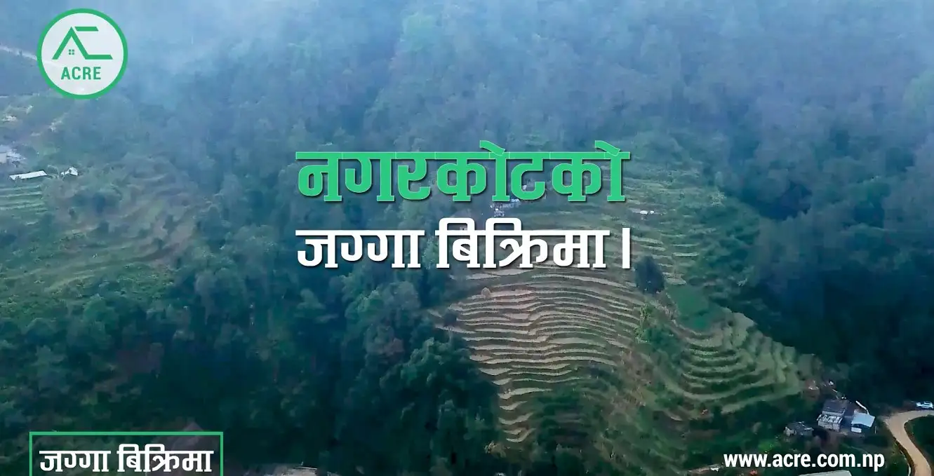 🏞️ हाइवे टच भएको नगरकोटको उत्कृष्ट जग्गा बिक्रीमा! 🏡 Thumbnail
