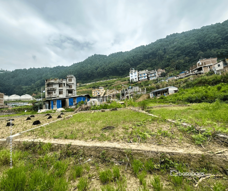 "Exceptional 4.5 Anna Land for Sale in Ramkot, Kathmandu : Land for Sale in Ramkot, Kathmandu Image 2
