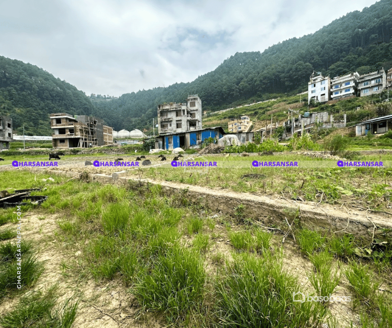 "Exceptional 4.5 Anna Land for Sale in Ramkot, Kathmandu : Land for Sale in Ramkot, Kathmandu Image 3