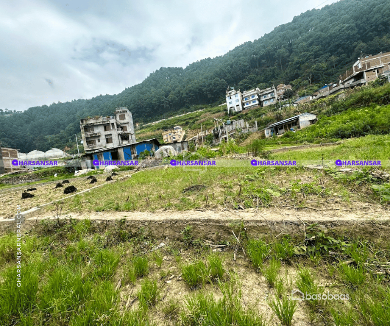 "Exceptional 4.5 Anna Land for Sale in Ramkot, Kathmandu : Land for Sale in Ramkot, Kathmandu Image 5