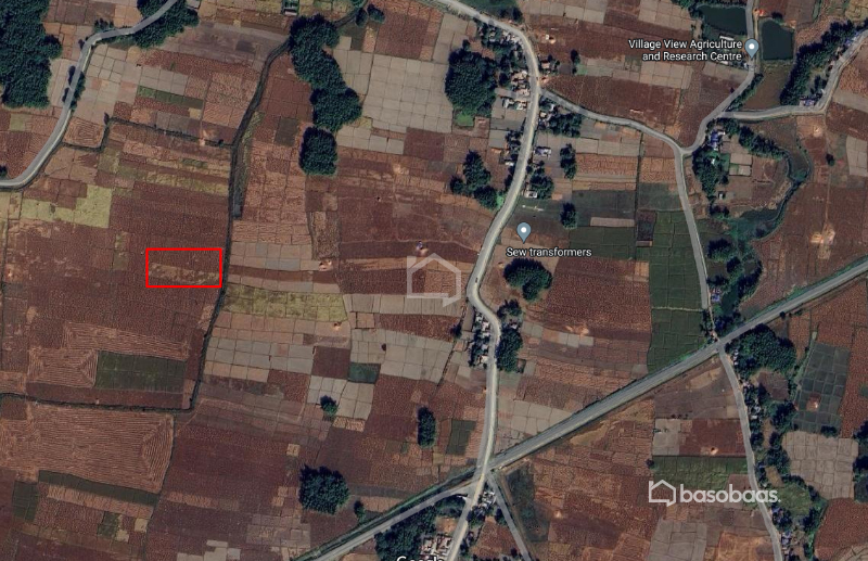 5.5 Kattha Agricultural Farming land for Sale at Biratnagar : Land for Sale in Biratnagar, Morang Image 4