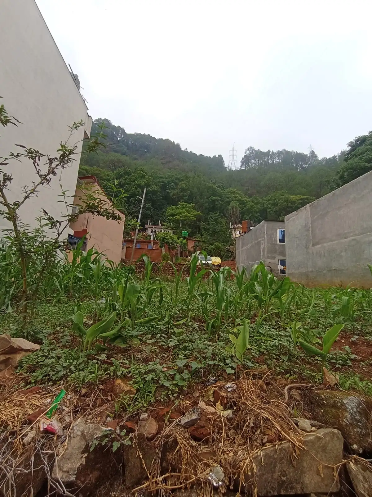 8.5 aana land on sale at bohoratar balaju Image 4