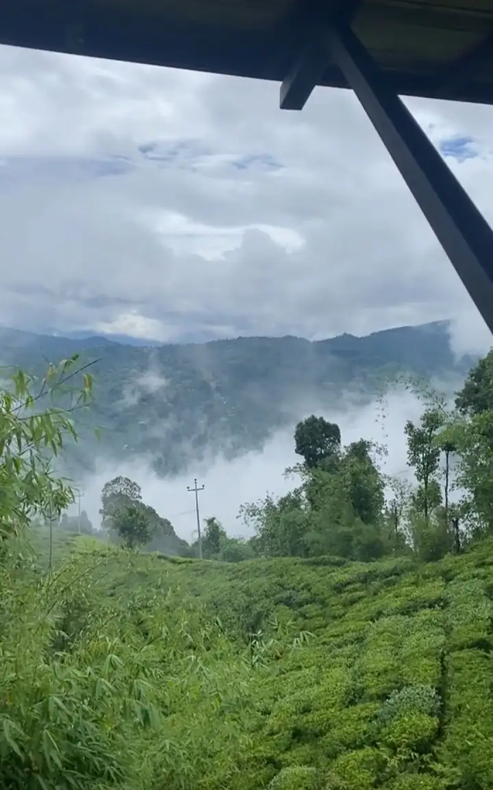 Kanyam,ilam-shree antu road land for sale in cheap rate  Image 2