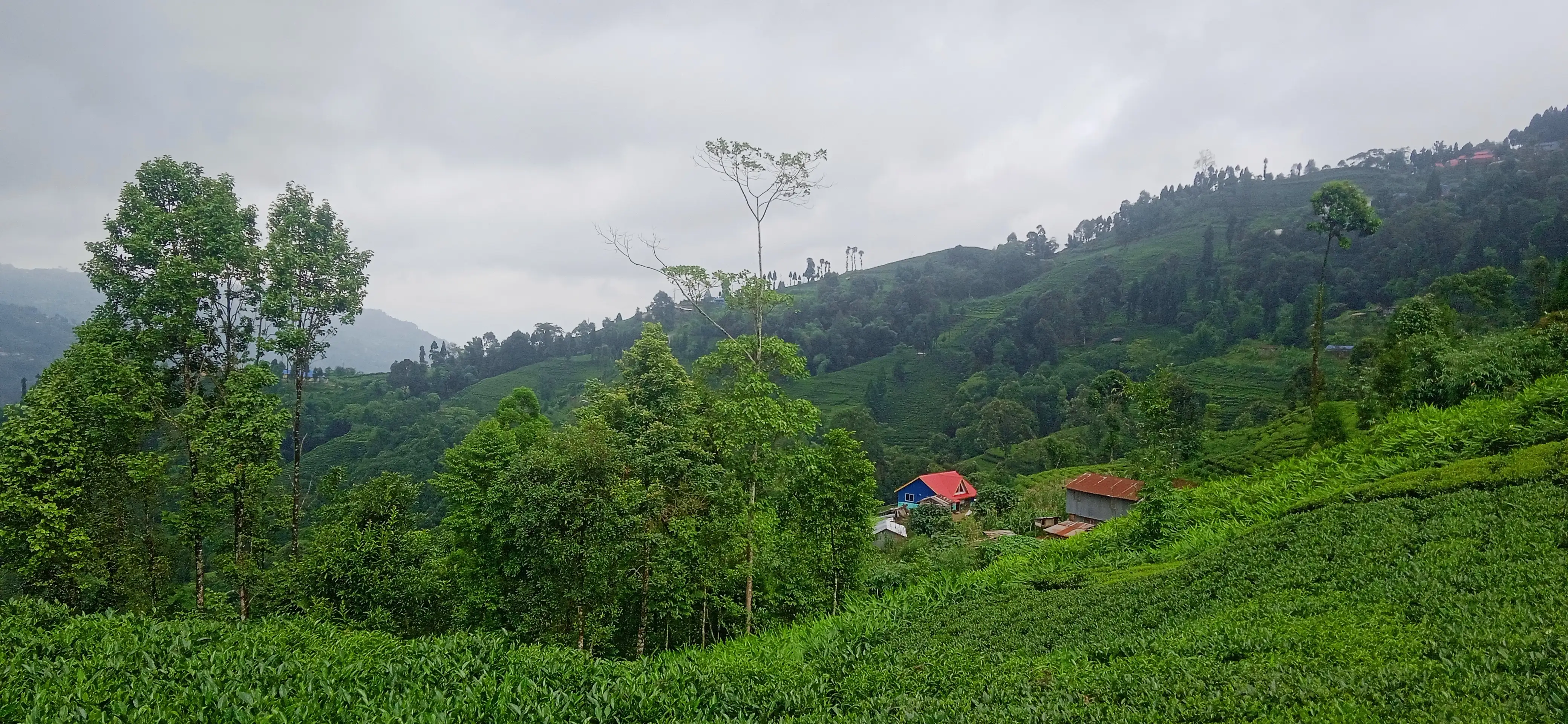 Kanyam,ilam-shree antu road land for sale in cheap rate  Image 1
