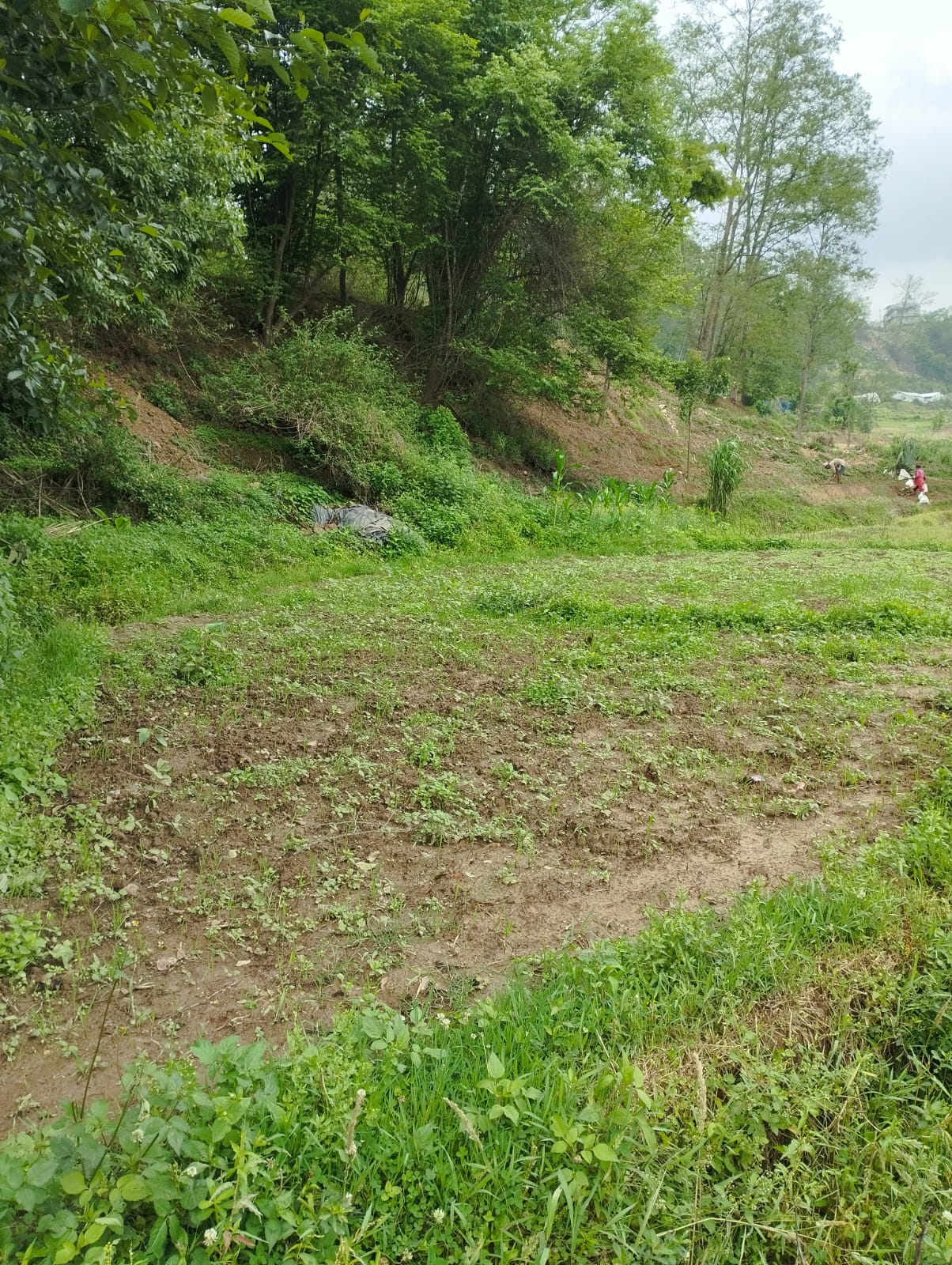 15 Ana land sale in Chapagaun Image 2