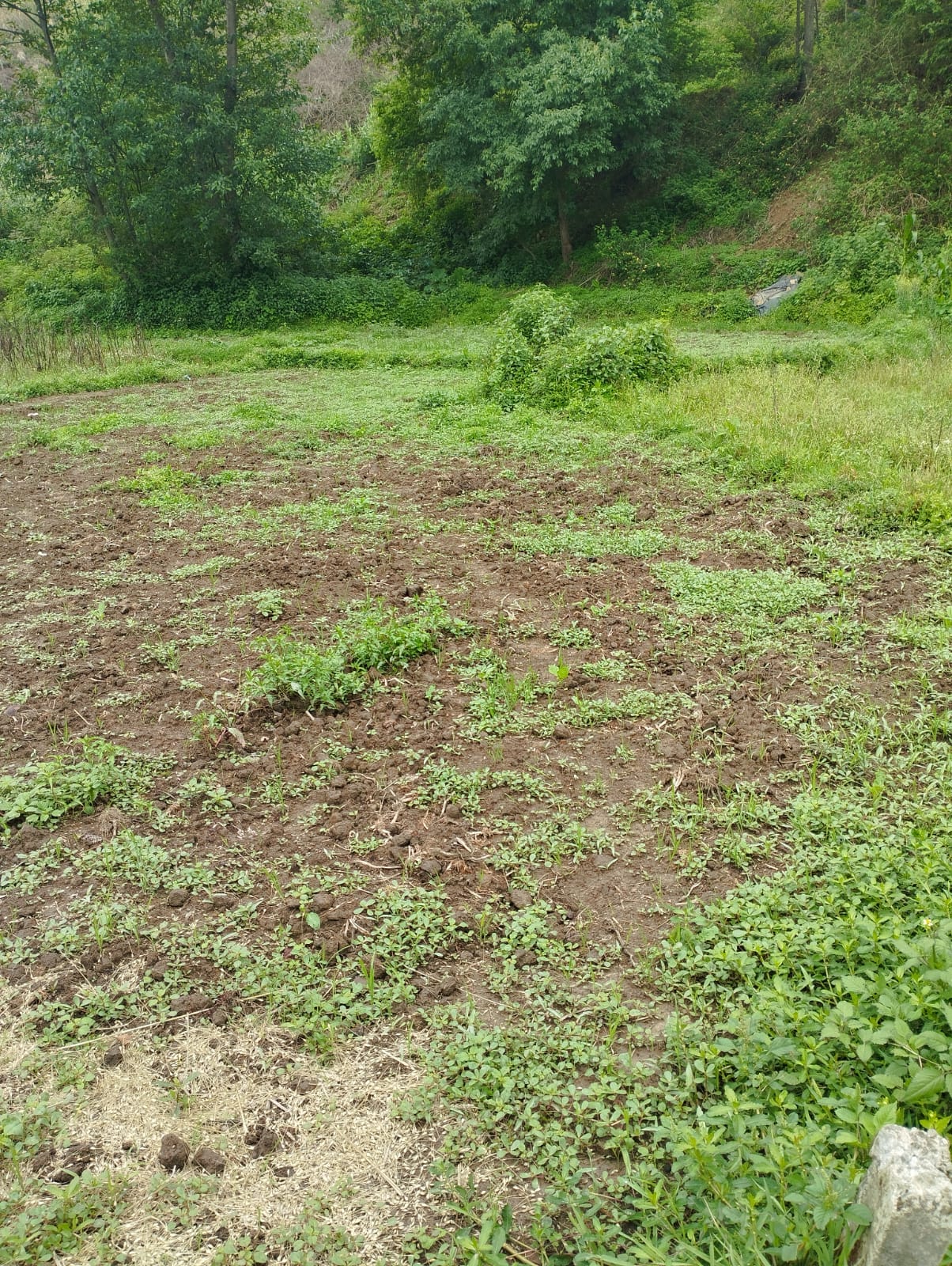 15 Ana land sale in Chapagaun Image 3