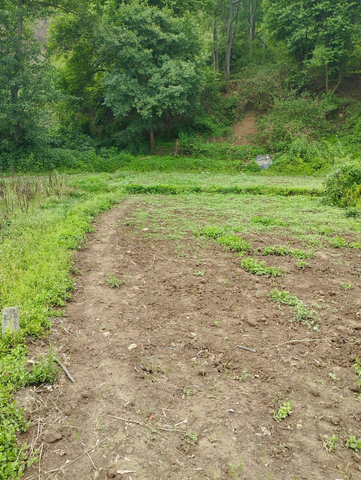 15 Ana land sale in Chapagaun Image 4
