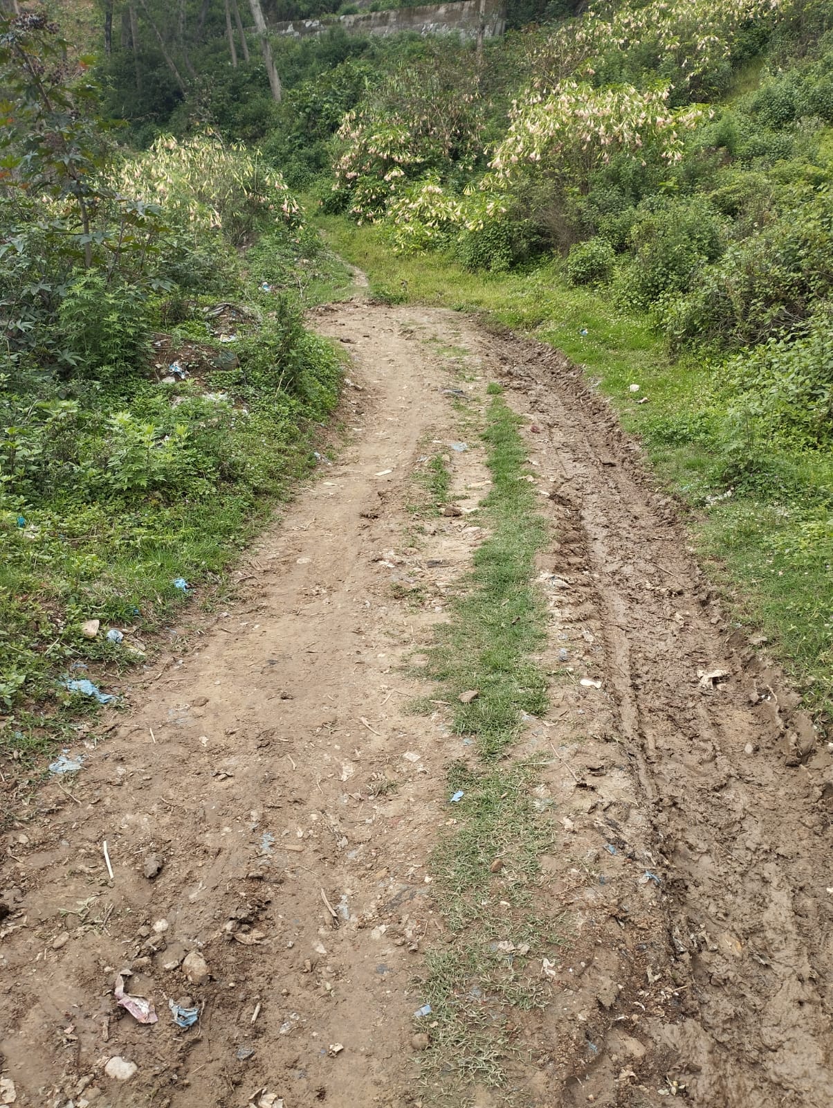 15 Ana land sale in Chapagaun Image 5