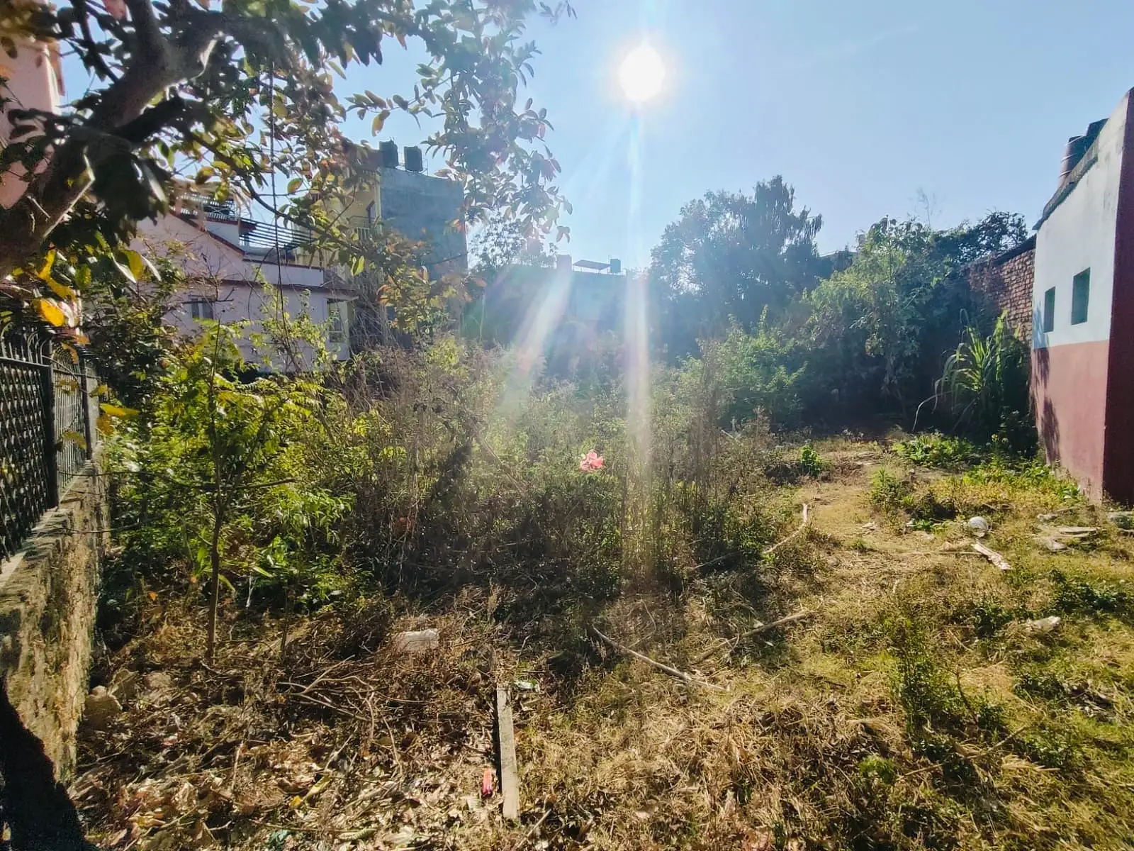 Land on Sale Image 2