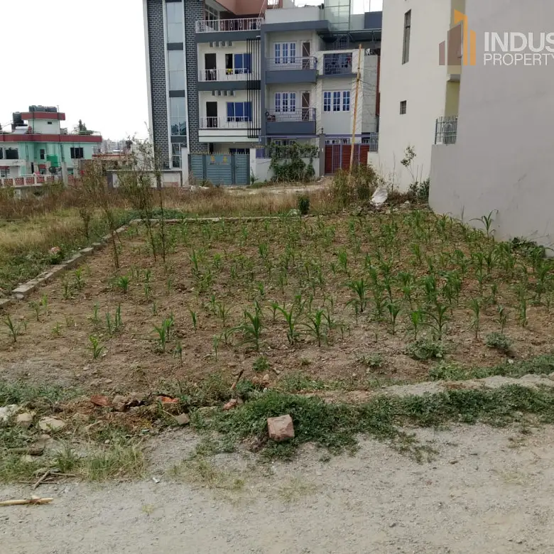 land on sale Image 3
