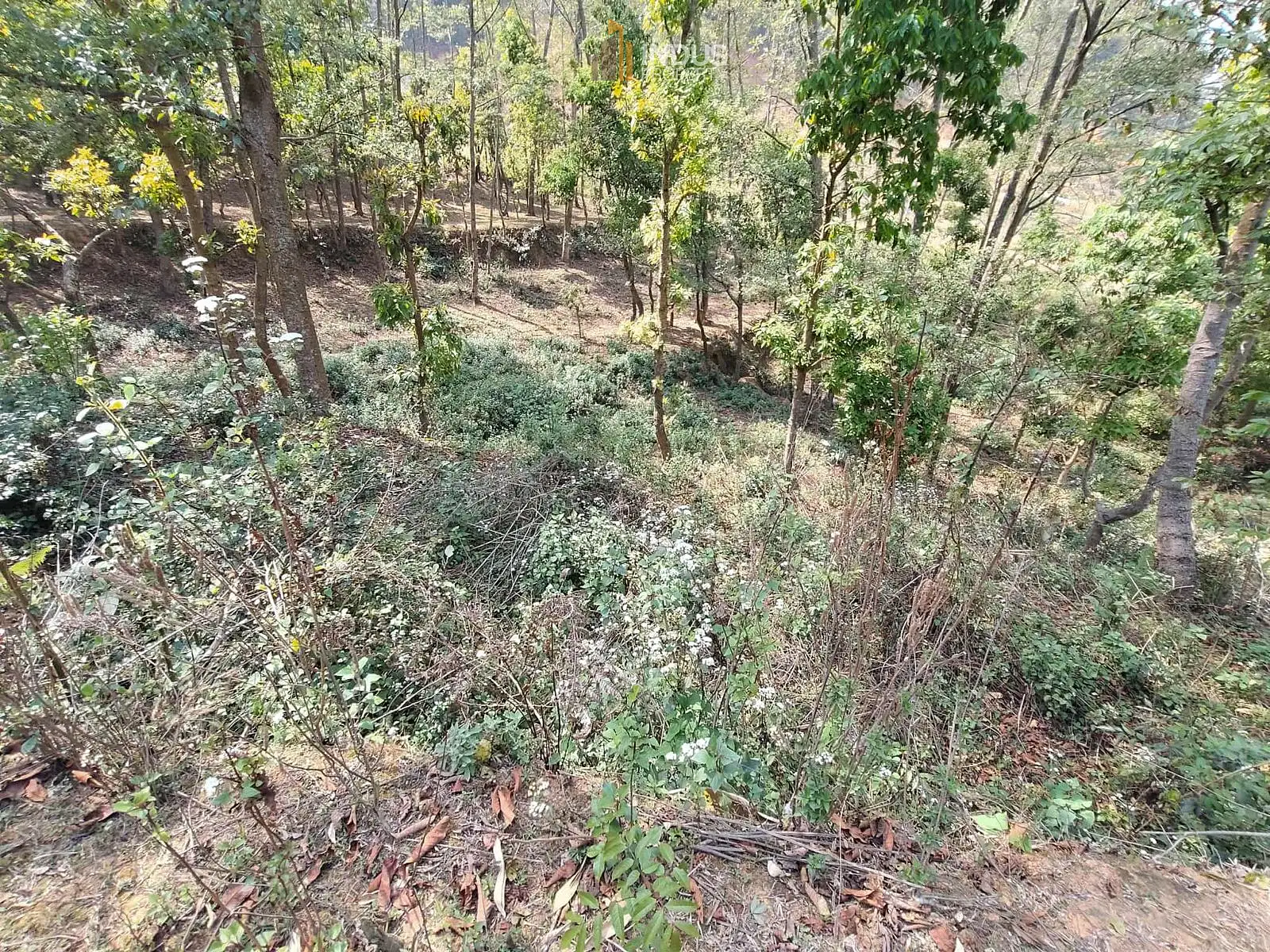 Land on sale at Chapagaun, Lalitpur Image 1