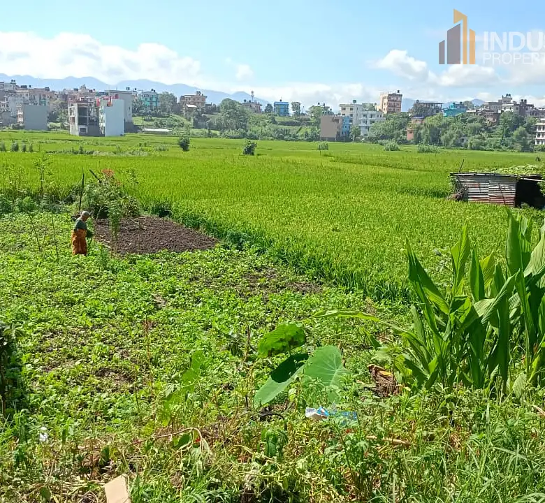 Land on Sale Thumbnail